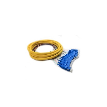 Cable Wholesale 12 Strand Fiber Distribution Pigtail, Singlemode, SC/UPC Connectors, Blue Boots, 3M(1m 900um 15F2-00112
